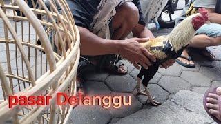 pasar Delanggu dan kisaran harganya [upl. by Hnil566]