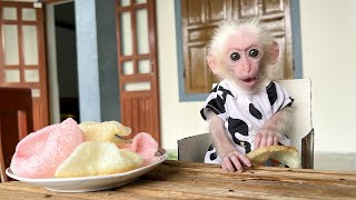 Monkey Poor obediently cooks shrimp crackers with Hong [upl. by Annavaj]