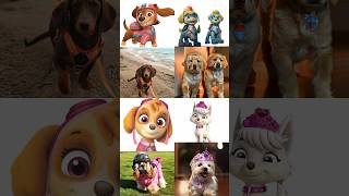 Paw patrol In Real Life pawpatrol shorts [upl. by Ocirderf]