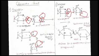 glycosidic bond Biochemistry [upl. by Tatiana770]