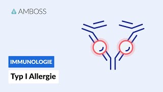 Soforttypreaktion Typ I Allergie  Biochemie  AMBOSS Video [upl. by Gentilis228]