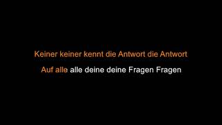 Die Fantastischen Vier  Ernten was wir säen Karaoke [upl. by Noruq774]