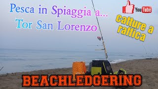 BEACHLEDGERING  CATTURE A RAFFICA IN MEZZO AD UN MARE DI ALGHE  IN PESCA 2023 [upl. by Duomham]