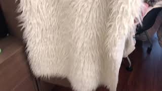 HOW TO CLEAN YOUR FUR RUG [upl. by Assirim]