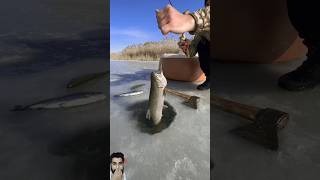 Fishing and Cooking in the Snow fishing icefishing outdoors cooking [upl. by Fergus]