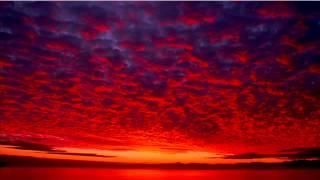 CIELO ROJO [upl. by Flin]