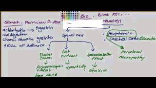 usmle step 1 hematology 15 video [upl. by Monk340]