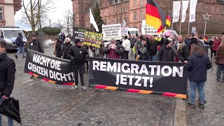 Silvesterdemo gegen die Regierung in Aschaffenburg am 31122023 [upl. by Columbus385]