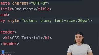 Basic Inline Styling CSS Tutorial 2  Mike Dane [upl. by Ailahk]