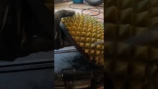 Air filter cleaning enduro ktm dirtbike [upl. by Coray101]