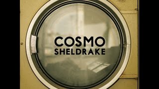 Cosmo Sheldrake  The Moss [upl. by Ardnazxela]