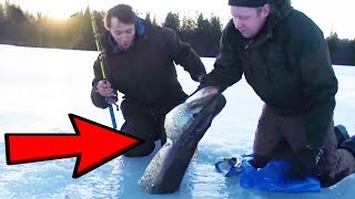 Ice Fishing  Catching BIG fish through the ICE [upl. by Leeth373]