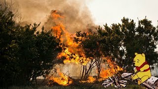 100 Acre Wood From Winnie the Pooh Destroyed By Wildfire [upl. by Nahgeam]