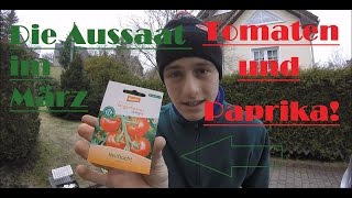 Aussaat im März Tomaten und Paprika [upl. by Pfosi]