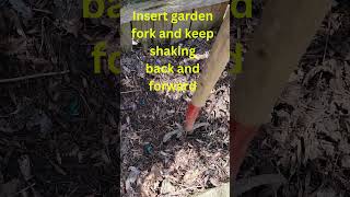 Unbelievable Trick to Get More Worms for Fishing or Gardening [upl. by Ayitahs]