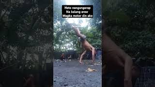 callisthenics practice heto para mawalat Ang boring [upl. by Alesi141]