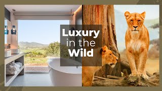 Exploring The Top 10 Luxury Safari Lodges in Africa 2024 [upl. by Engud]