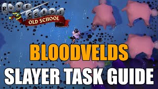 Bloodvelds Slayer Task Guide  Old School RuneScape [upl. by Akenor]