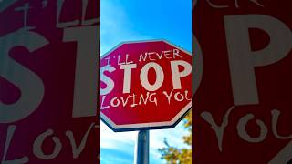 Funny Road Signs in roads of Tirana  Albania 🇦🇱 road roadsigns albania [upl. by Neroled81]