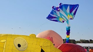 Festival der Riesendrachen in Berlin  Tempelhof [upl. by Nira]