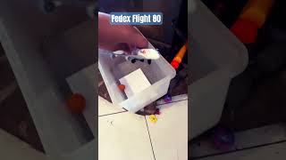 Fedex Flight 80 [upl. by Somerset915]