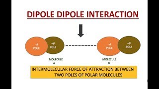 DIPOLE DIPOLE FORCES ANIMATION  Intermolecular Forces Chemistry Chapter Structure of Molecules [upl. by Peony121]