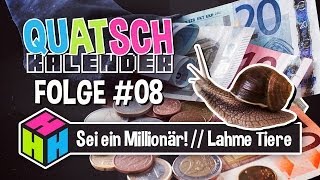 Wie werde ich Millionär » Alte Schildkröten » Europawahl » QUATSCHKALENDER 08 » Feiertag Fun Facts [upl. by Kooima558]