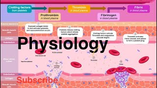 Physiology l Hemostasis l AIIMS I jipmer I pigmer l ESI lRRB lDSSB l paramedical l physiotherapist l [upl. by Enaoj]