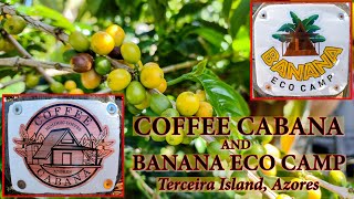 ☕Coffee Cabana Terceira Island Azores  4K☕ [upl. by Jephthah242]