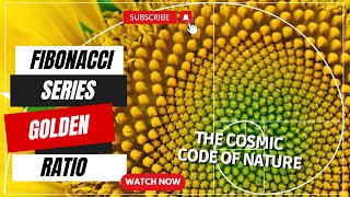 Fibonacci Sequence Golden Ratio and the Cosmic Code of Nature  Learn And Explore Facts fibonacci [upl. by Ahseret]