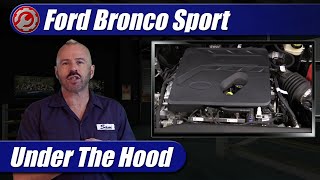 2022 Ford Bronco Sport Big Bend pov and review [upl. by Rezzani323]