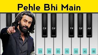 Pehle Bhi Main Piano Tutorial  Animal  Ranbir Kapoor [upl. by Adnyleb]