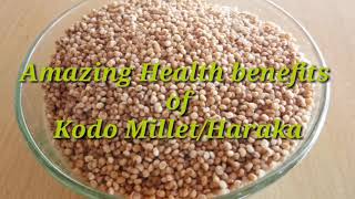 Amazing Health benefits of Kodo millet Haraka [upl. by Ailec]