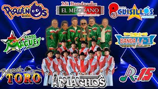 Tecno Banda Mix Quebraditas Exitos  El Mexicano Banda Machos Pequenos Cuisillos Maguey y Mas [upl. by Bowles]