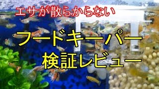 餌が散らからない フードキーパー 検証レビュー【 給餌器 】 [upl. by Eunice105]