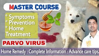 Master course  Parvo virus in dogs  Homemade treatment [upl. by Laurens]