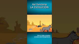 Así funciona LA EVOLUCIÓN🐒🧬shorts biologia ciencia [upl. by Edette]