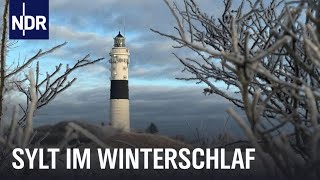 Sylt im Winter  Auszeit vom Saisontrubel  Nordseereport  NDR Doku [upl. by Kus]