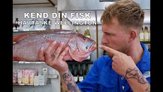 Kend din Fisk  Havtaske Wellington [upl. by Aniwde]