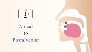 ɹ̠̊˔  unvoiced subapical postalveolar non sibilant fricative [upl. by Clemmy]