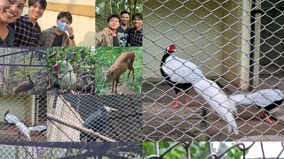 Guwahati Zoo 2024 Assam Videoshow🎶 [upl. by Aicirtal]