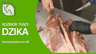 Warsztaty kulinarne IAŚ rozbiór tuszy dzika [upl. by Sesilu159]