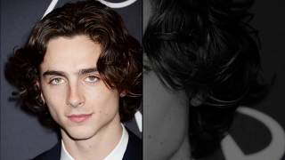 Ready For It  Timothée Chalamet [upl. by Araihc]