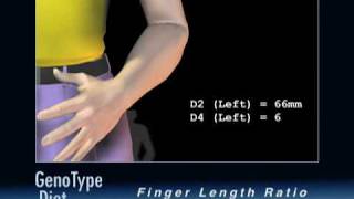 The GenoType Diet Measuring Finger Length Ratios [upl. by Yarehs]