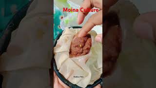 Moina culture shorts video Best live food for guppies amp bettas moia moinaculture guppy betta [upl. by Furey]