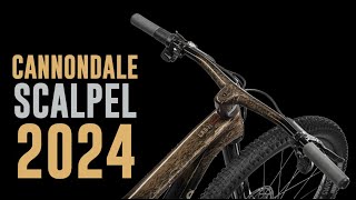 Cannondale Scalpel 2024  6 modelli a confronto  MTBT [upl. by Dinny]