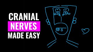 Cranial Nerves Made Easy  How to Memorize your Cranial Nerves I  XII [upl. by Arutek]