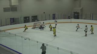 Vianney  Panthers Junior Varsity Scoring Highlights [upl. by Mailliw144]