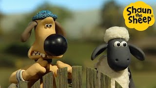 Shaun the Sheep 🐑 Bitzer and Shaun Adventure  Cartoons for Kids 🐑Full Episodes Compilation 1 hour [upl. by Ahsinauq]