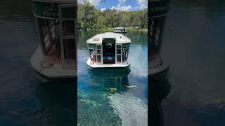 Silver springs glass bottom boat [upl. by Natalina401]